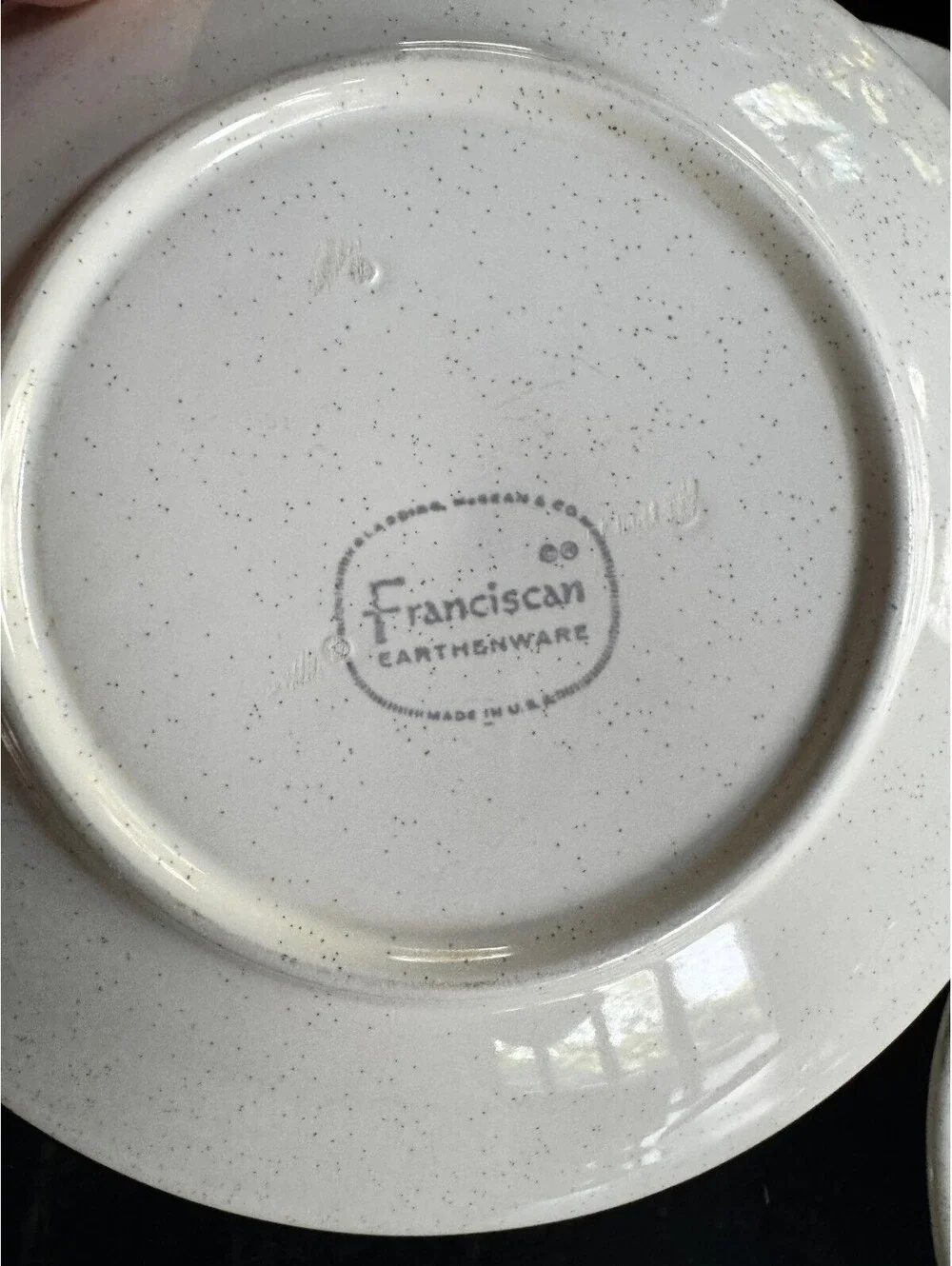 Vintage Franciscan Fern Dell 6